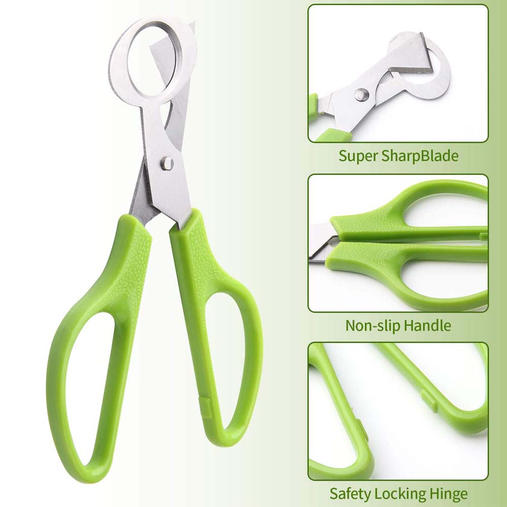 3個ウズラ卵カッターはさみキッチン卵鋏ツールステンレス鋼のク - Kitchen Shears In Baking のレビューと価格