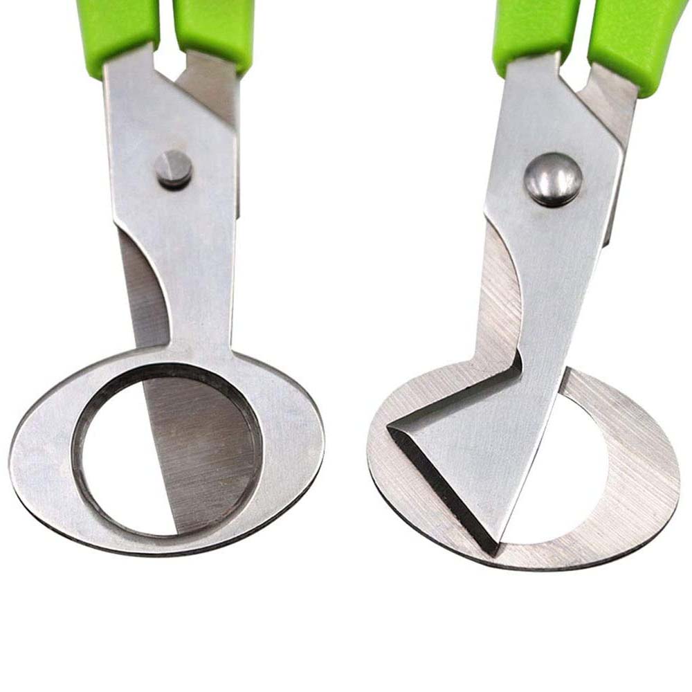 3個ウズラ卵カッターはさみキッチン卵鋏ツールステンレス鋼のク - Kitchen Shears In Baking のレビューと価格